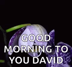 Purple Flower with Good Morning David