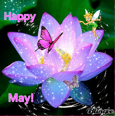 Purple Flower With Pink Butterfly Happy May GIF