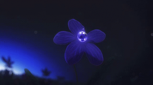 Purple Flower With Water Drops GIF