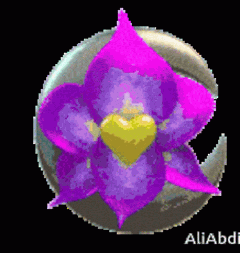 Purple Flower With Yellow Center GIF