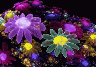 Purple Flower With Yellow Center GIF