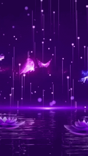 Purple Flowers Are Floating On Top Of A Body Of Water In The Rain . GIF