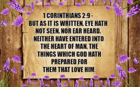 Purple Flowers Around Wooden Sign 1 Corinthians 2 9 GIF