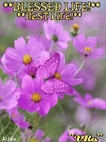 Purple Flowers Blessed Life GIF