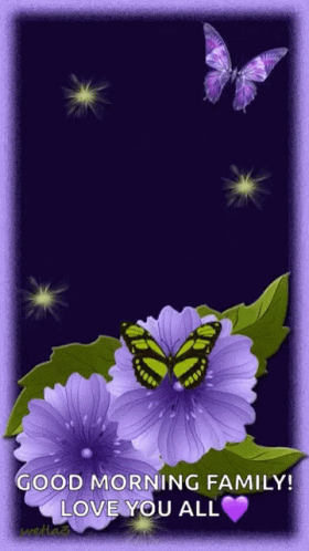 Purple Flowers Butterflies Good Morning Family Love You All