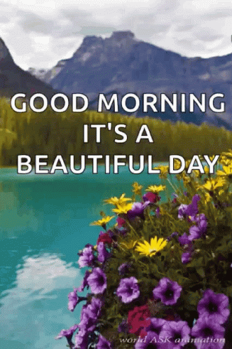 Purple Flowers Good Morning It's a Beautiful Day
