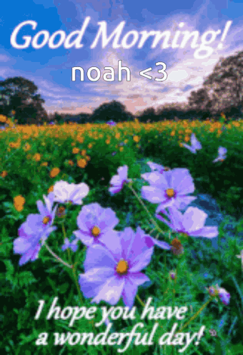 Purple Flowers Good Morning Noah < 3