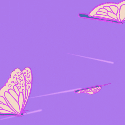 Purple Flying Butterfly Animation GIF