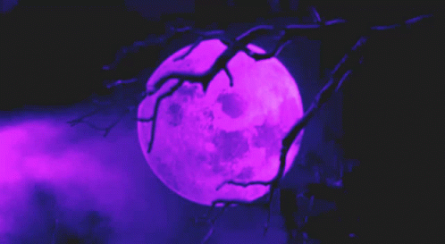 Purple Full Moon Behind Tree Branch