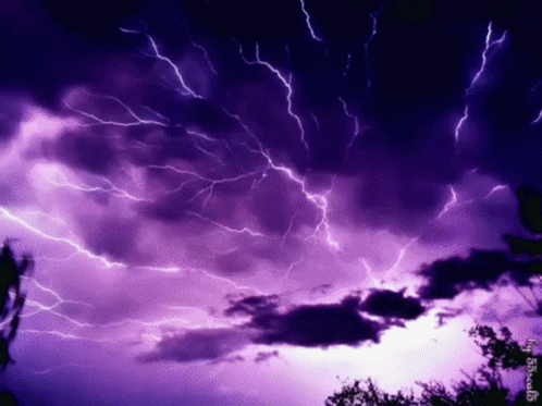 Purple Lightning Strikes In A Dark Cloudy Sky With Trees GIF