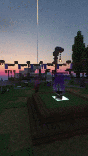 Purple Outfit Person In Minecraft With Sunset GIF