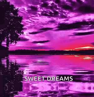 Purple Pink Sunset Over Lake Sweet Dreams GIF