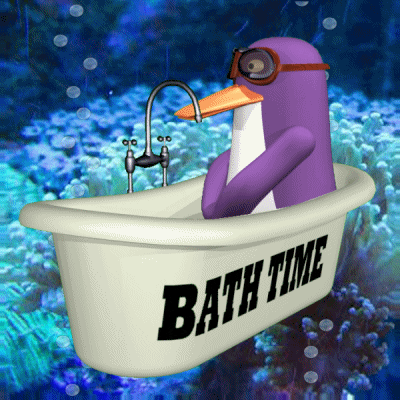 Purple Platypus Bath Time Under Sea GIF