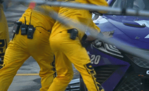 Purple Race Car Number 20