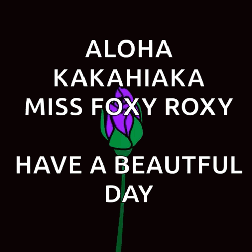 Purple Rose Aloha Kakahiaka Miss Roxy