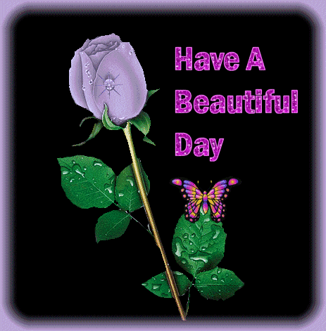 Purple Rose Have Wonderful Day GIF