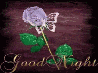 Purple Rose With Butterfly Good Night GIF