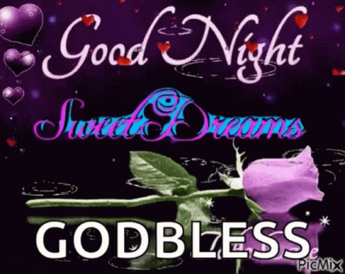 Purple Rose With Good Night Sweet Dreams
