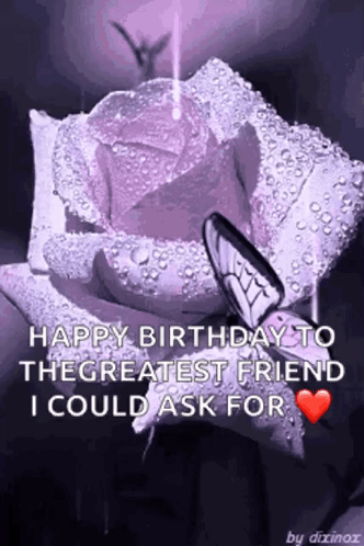 Purple Rose with Water Drops and Butterfly Happy Birthday