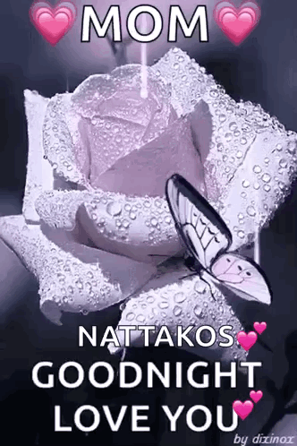 Purple Rose With Water Drops and Butterfly