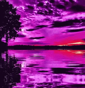 Purple Sky Reflecting In Water GIF