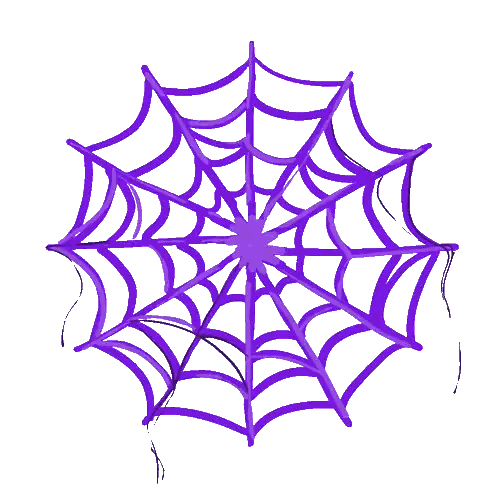 Purple Spider Web with Black Spider