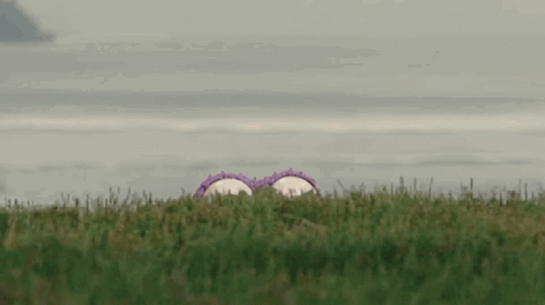 Purple Stuffed Animal With Big Eyes GIF