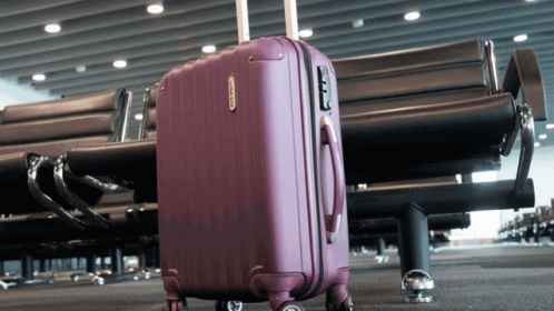 Purple Suitcase Saying Samsonite GIF