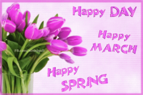 Purple Tulips Bouquet Happy Day GIF