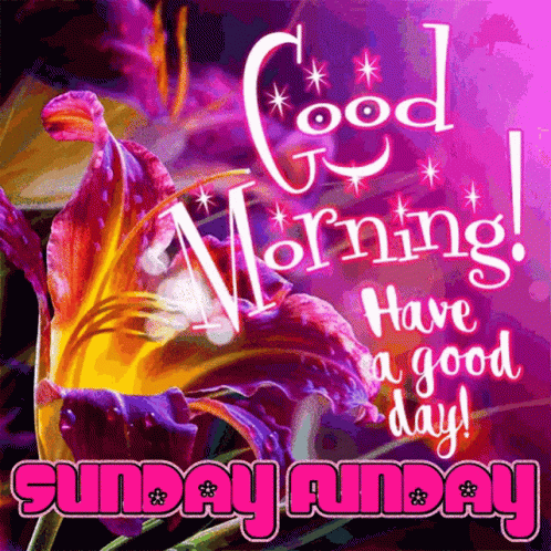 Purple Yellow Flower Good Morning Have Good Day Sunday GIF