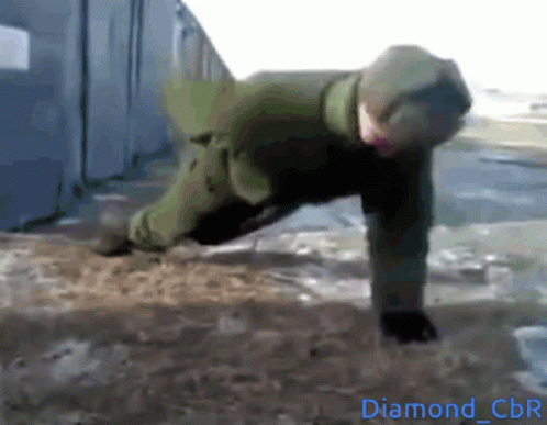 Push Up 498 X 387 Gif GIF