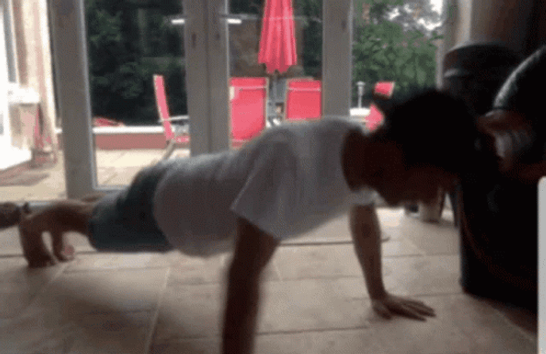 Push Up Exercise Vlog GIF
