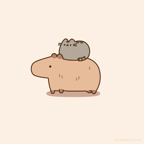 Pusheen Cat Capybara Gif GIF