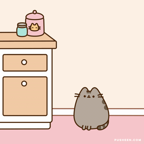 Pusheen Cat