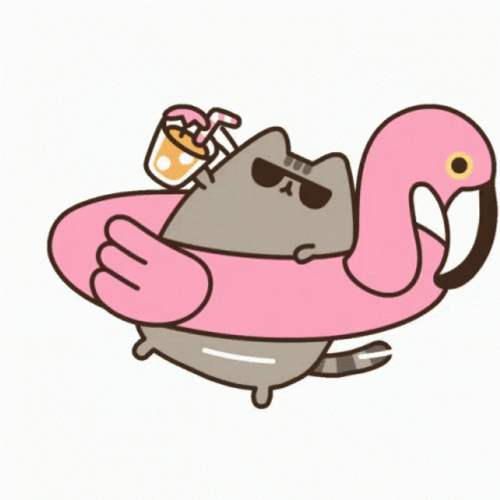 Pusheen Cat Pink Swan Floater GIF