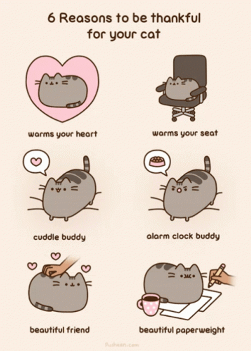 Pusheen Cat Reasons To Love Cats GIF