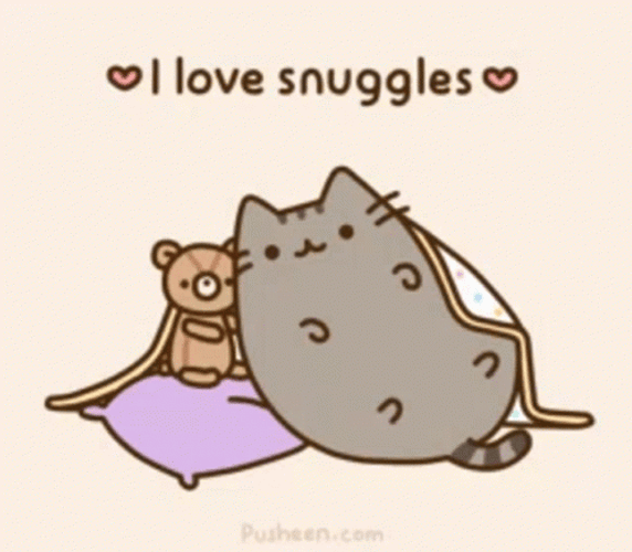 Pusheen Cat Snuggling With Bear GIF