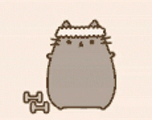 Pusheen Cute Fit Cat GIF