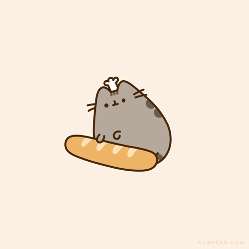 Pusheen Pusheen Cat GIF