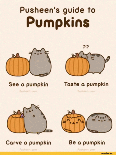 Pusheen's Guide to Pumpkins See Taste Carve