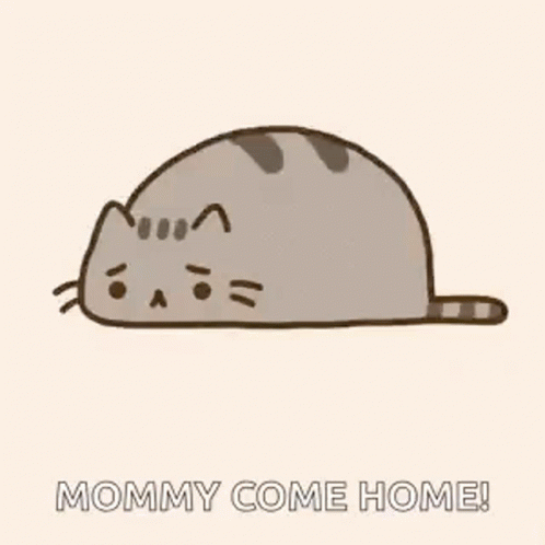 Pusheen Sad Mommy Come Home Come Back GIF