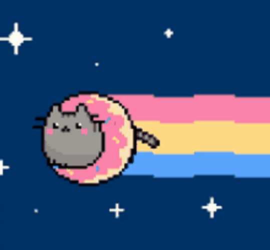 Pusheen With Donut Nyan Cat GIF