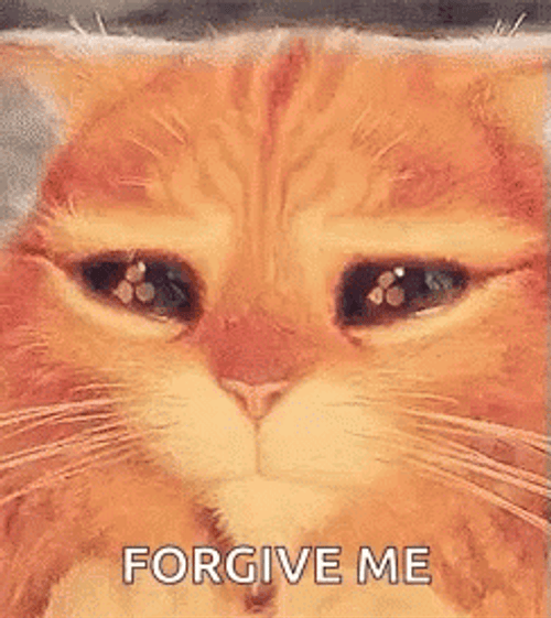 Puss Forgive Me GIF