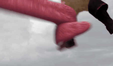 Puss In Boots Adventures Dragon GIF