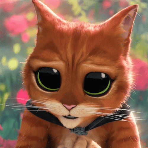Puss In Boots Cute Face GIF 