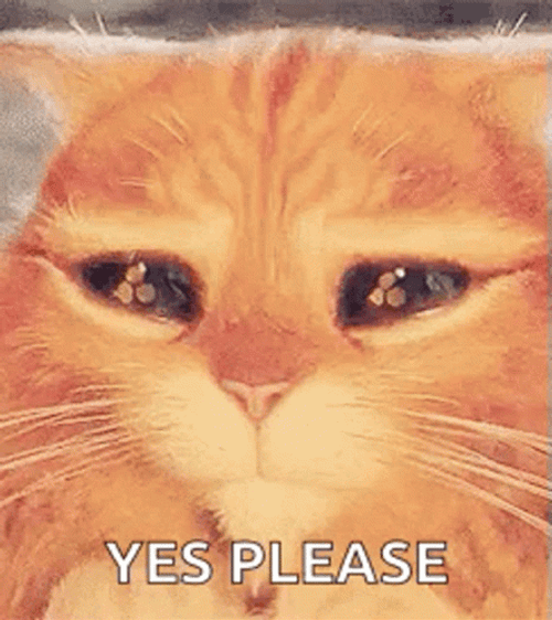 Puss In Boots Cute Yes Please GIF
