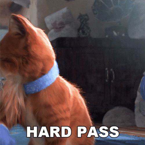 Puss In Boots Hard Pass GIF