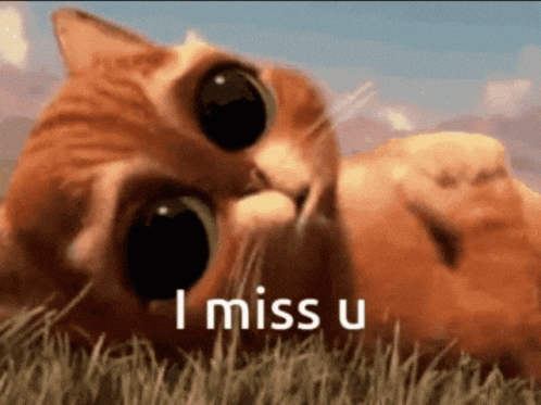 Puss In Boots No I Miss You More GIF