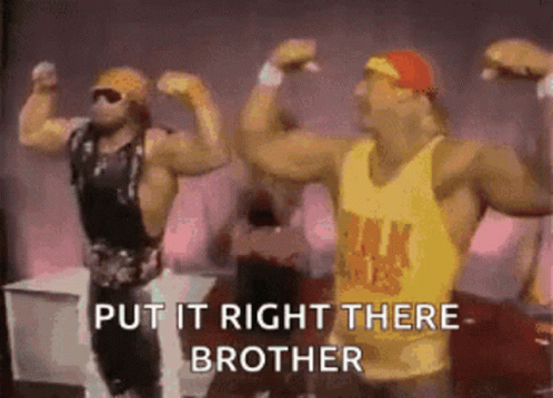 Put It Right There Brother Hulk Hogan GIF