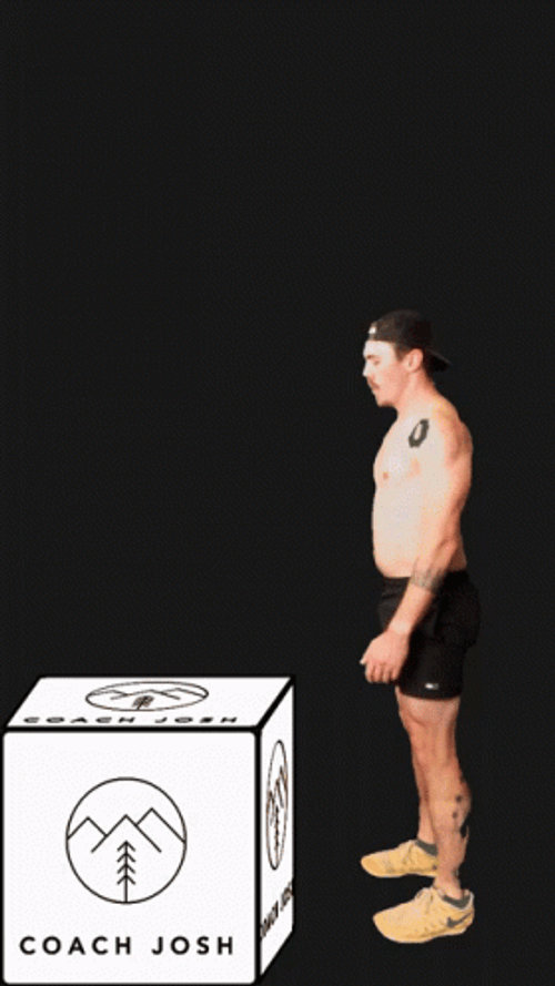 Put Me In Coach Jumping Man GIF